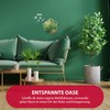 Olymp Sounds of Nature Box | Natural Sounds for Relaxation