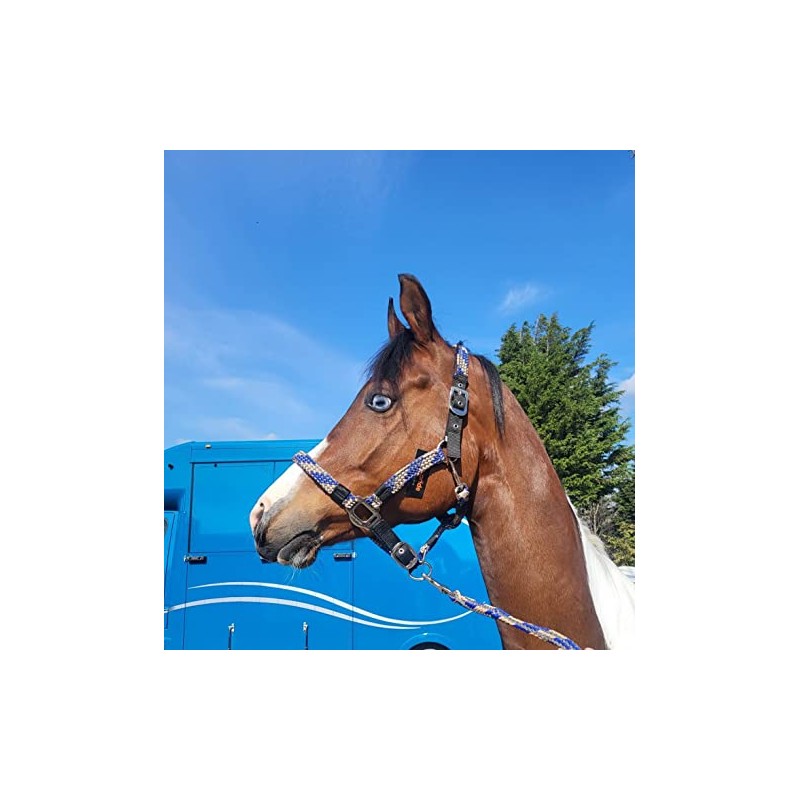 Equipride Braided Headcollar Lead Rope Set Size Full-Shetland (Pony, Royal