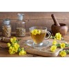 Earthcare Seeds Great Mullein Verbascum thapsus 150 Seeds Heirloom- Non