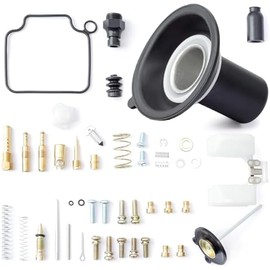 Carburetor Repair Kit Compatible with Honda Rebel 250/CMX 250/CA250 1985-2016 Version Motorcycle, Single Carburetor Version with Plunger Assembly
