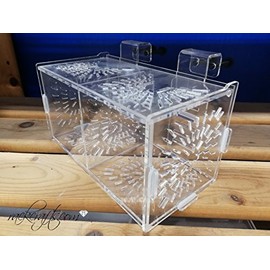 Aquarium Fish Tank in Tank Acrylic Acclimation Box Cage Copepods Amphipods Breeder Fish Isolation (Double - Medium)