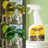 2 Pack Neem Oil & Peppermint Plant Spray – Natural