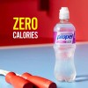 Propel, Zero Calorie Sports Drinking 16.9 FlOz (Pack of 12)