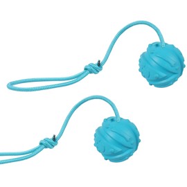 Vitalili Dog Training Ball on Rope, 2Pcs Dog Rope Toys Ball Exercise and Reward Toy for Dogs for Chew Training Pull Throw Toy tug Toy Dogs Fetch Toys