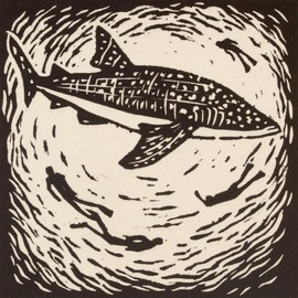 NOVICA Artisan Handmade Whale Shark Signed 4inch Linoleum Block Print of Black White Mexico Paintings Modern Freestyle Animal Themed Sea Life [3.9in W x 3.9in H]