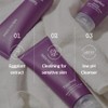Papa Recipe Eggplant Moisturizing Cleansing Foam for Sensitive, Dehydrated, and
