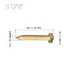 METALLIXITY Small Nails (2.8x20mm) 25pcs, Brass Tiny Hardware Nails -