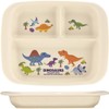 SKATER XP7AG-A Baby Tableware Lunch Plate for Kids, Antibacterial, Plastic,