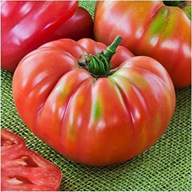 German Johnson Heirloom Tomato Premium Seeds for Packing Packet + More