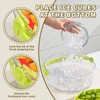 Fruit Ice Divided Serving Tray with Lid and handle,Chilled Veggie
