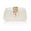 HuiYStar Women Sparkle Clutch Evening Handbags with Snake Clasp for