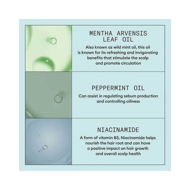 Nioxin Scalp Recovery System Kit