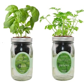 Environet 2-Pack Hydroponic Mason Jar Herb Garden Kit, Indoor Herb Garden Self-Watering Starter Kit (Basil, Parsley)