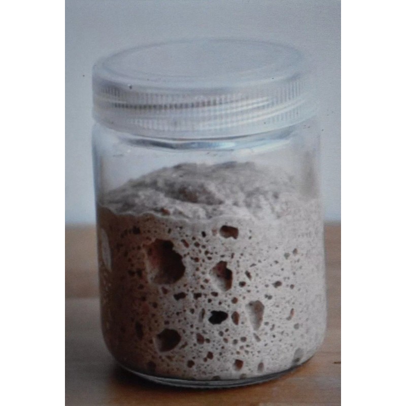 SAN FRANCISCO WHARF SOURDOUGH sourdough starter yeast from the "WHARF"