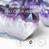Deep Purple Project Deep Purple Project Amethyst Crystal Rock 1/2