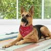 Red Paisley Dog Bandana Scarf Triangle Bibs Pet Accessories Cat