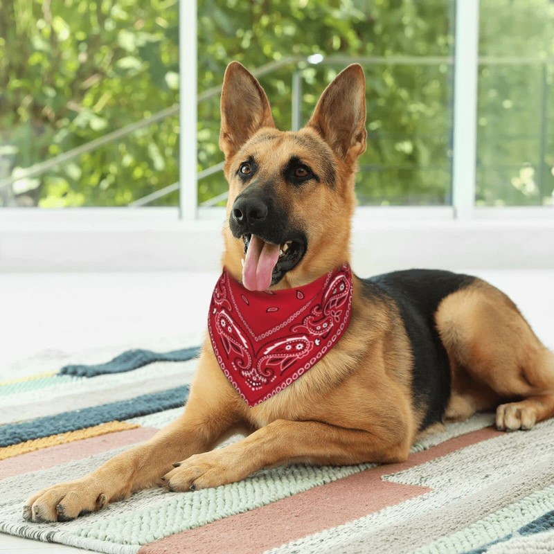 Red Paisley Dog Bandana Scarf Triangle Bibs Pet Accessories Cat