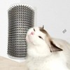 Massage Pet Cat