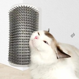Massage Pet Cat