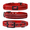 Tuff Pupper Heavy Duty Dog Collar with Handle | Ballistic