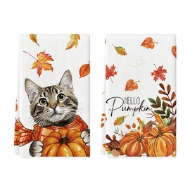 Artoid Mode Cat Leaves Hello Pumpkin Autumn Dish Towels 42x65 cm Set of 2