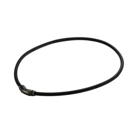 Colantotte Necklace Crest R [ex]