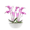 elho Brussels Diamond Oval 36 - Flower Pot for Indoor