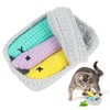 Obrlinaye Crochet Catnip Toys Sardine Tin Cat Toy, Yarn Fish