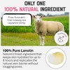Dr. Lipp Original Lanolin Nipple & Lip Balm - 100%