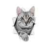 Winston & Bear 3D Cat Stickers - 2 Pack -