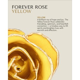 Forever Rose Real Yellow Rose Dipped in 24K Gold with Gold-Trimmed Petals and Stem, Handcrafted Preserved Rose in Luxury Gift Box, Romantic Gift for Her