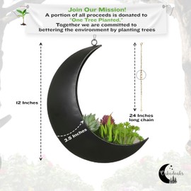 Hanging Moon Planter for Moon Room Decor - Great for Succulents, Air Plant, Mini Cactus, Faux, Artificial Plants-Boho Hanging Planters for Indoor Plants, Witchy Gifts for Women, Birthdays,Plant Lovers