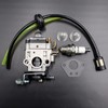 LIZAPUS 430025 Carburetor Carb Compatible with Thunderbay Y43 Auger Power