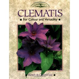 Clematis