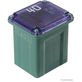 HERTH+BUSS JAKOPARTS 50295333 Fuse
