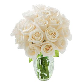 KaBloom PRIME NEXT DAY DELIVERY : Fall Collection - Bouquet of 18 White Roses without vase Gift for Birthday, Sympathy, Anniversary, Get Well, Thank You, Valentine, Mother’s Day Flowers