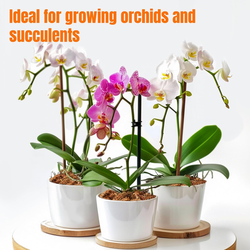 3 Oz Sphagnum Moss for Orchids - Sukh Sphagnum Peat