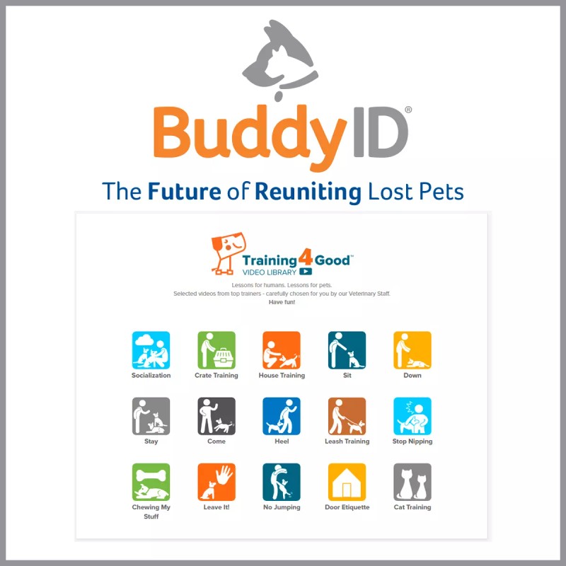 Pro-ID Buddy-ID Microchip Pet Microchip MINI CHIP 134KHZ, ISO