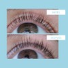 TALIKA Lipocils Expert Collector 10ml
