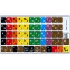 LEARNING ENGLISH COLORED STICKER FOR KEYBOARD (LOWER & UPPER CASE)