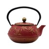 SECHUDO Cast Iron Teapot Tea Kettle with Stainless Steel Infuser