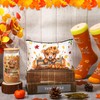 Skylety Fall Highland Cow Pumpkin Theme Gift Set Includes 16oz