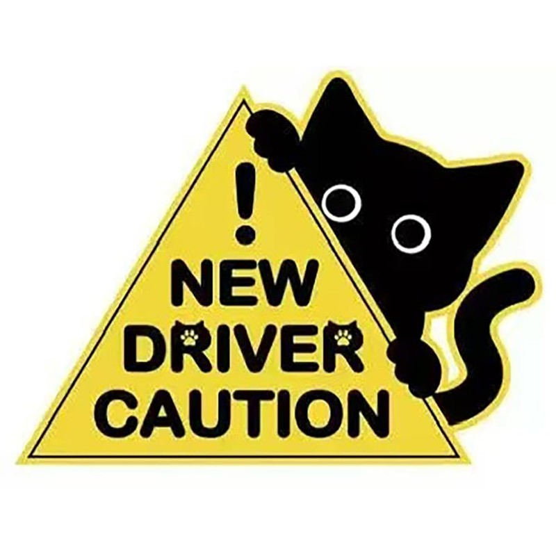 3Pcs New Driver Car Magnet Sticker Set, Funny Cute Cat