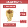 Female NPT Quick Connect Hose Connector Plug, Quick Release Valve