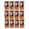 Bigen Pack 12 Tintes, Tono #48 Castano Intenso