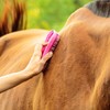 Intrepid International Magic Horse Brush, for Horse Grooming Kit w/Durable