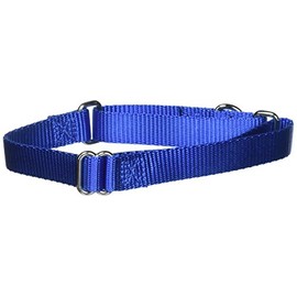 PetSafe Adjustable Martingale Collar - Only Tightens When Dogs Pull, Prevents Slipping Out - Helps with Strong Pullers, Increased Control - Alternative to Choke Collar - 3/4", Medium, Royal Blue