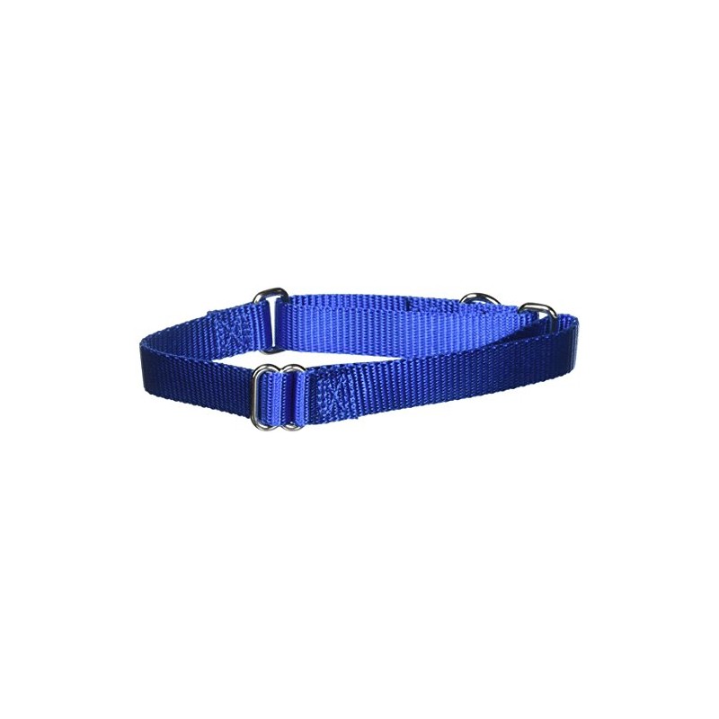 PetSafe Adjustable Martingale Collar - Only Tightens When Dogs Pull,