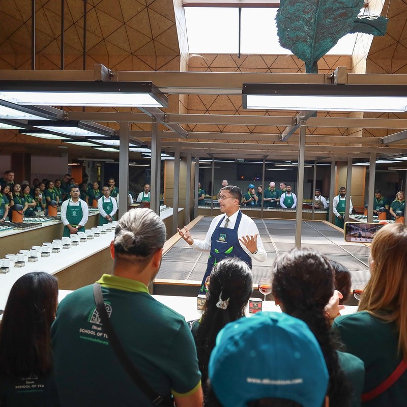 Dilmah Extra Strength Ceylon Tea 100 Tea Bags - 240g(8.47oz)