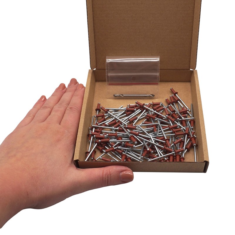 SKIR'CO Pack of 100 blind rivets painted 3.2 x 8